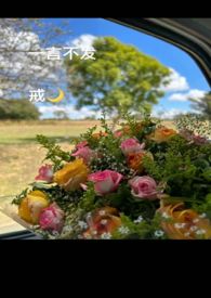 一言不发猜什么生肖